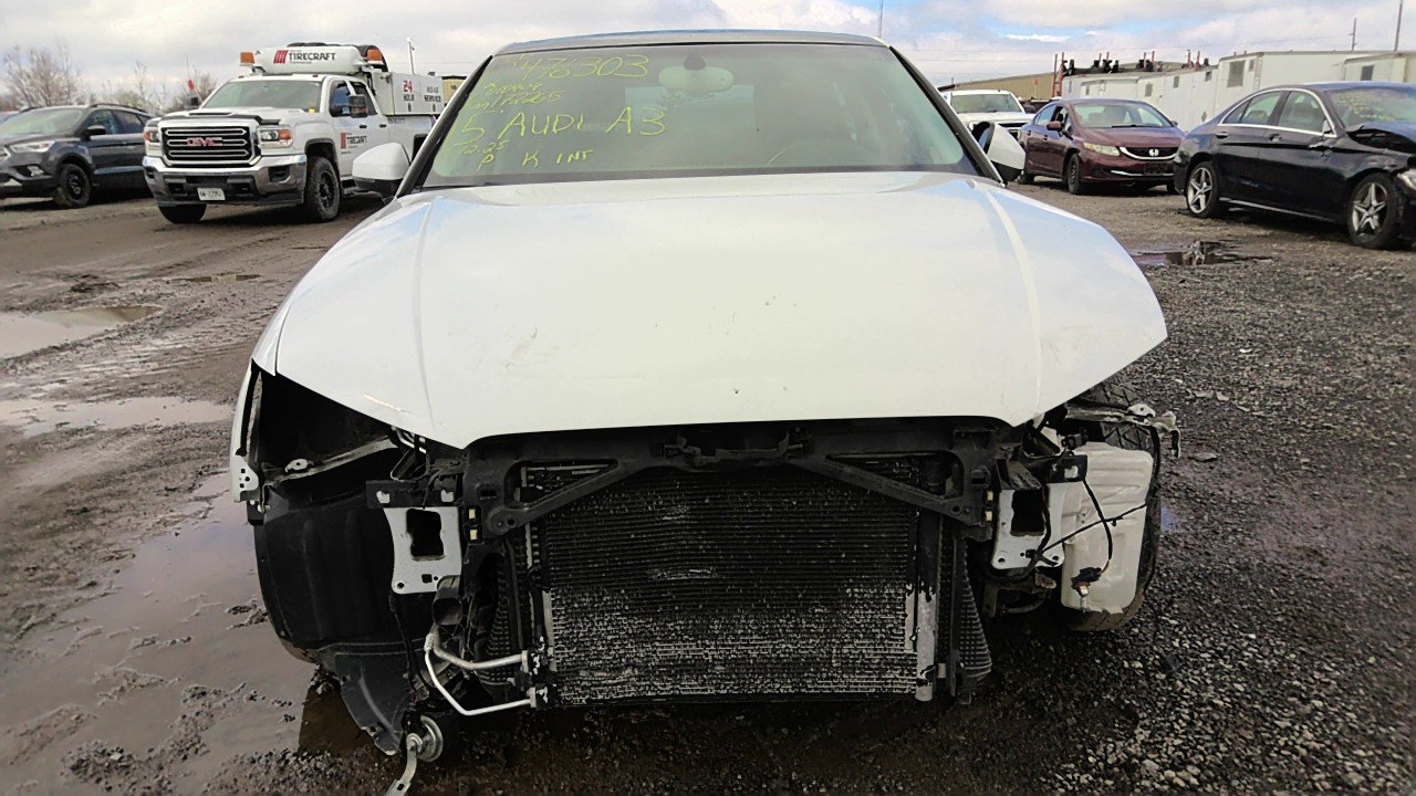 Vehicle/218744_02.jpg