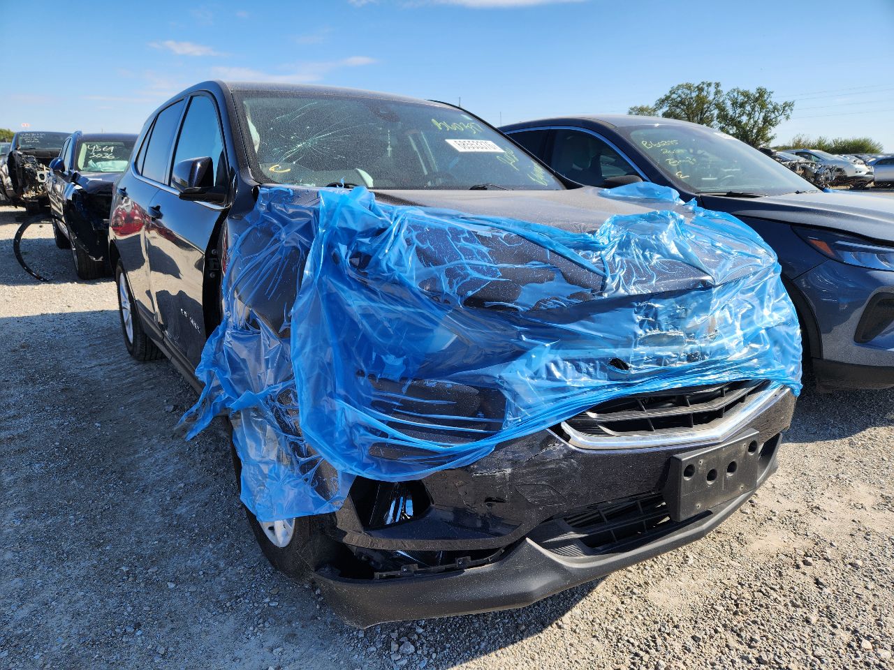 Vehicle/252179_04.jpg