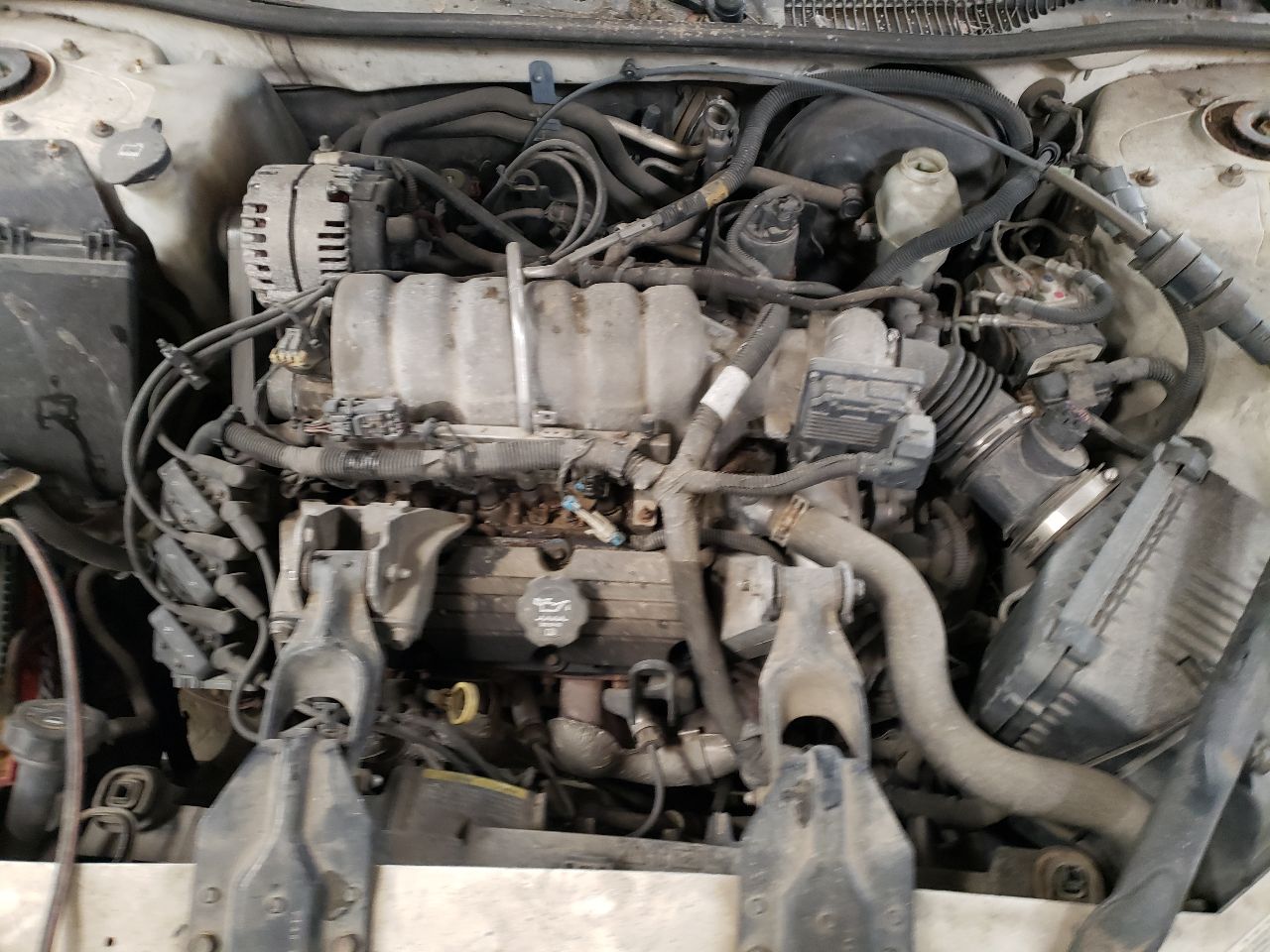 https://f005.backblazeb2.com/file/img-partshotlines-com/Inventory/EX534/Vehicle/45048_06.jpg