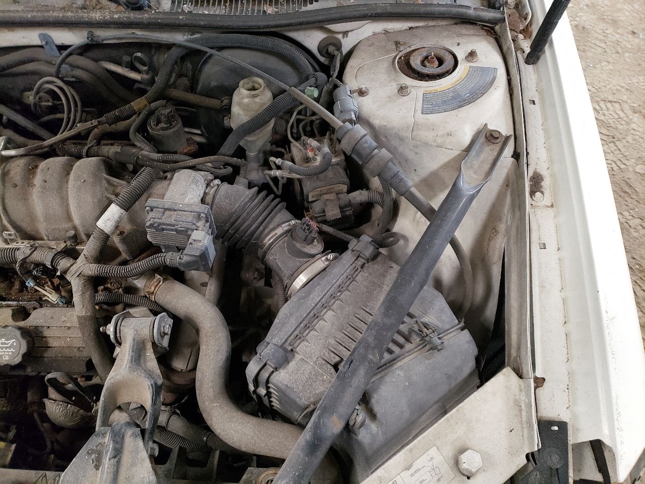 https://f005.backblazeb2.com/file/img-partshotlines-com/Inventory/EX534/Vehicle/45048_07.jpg