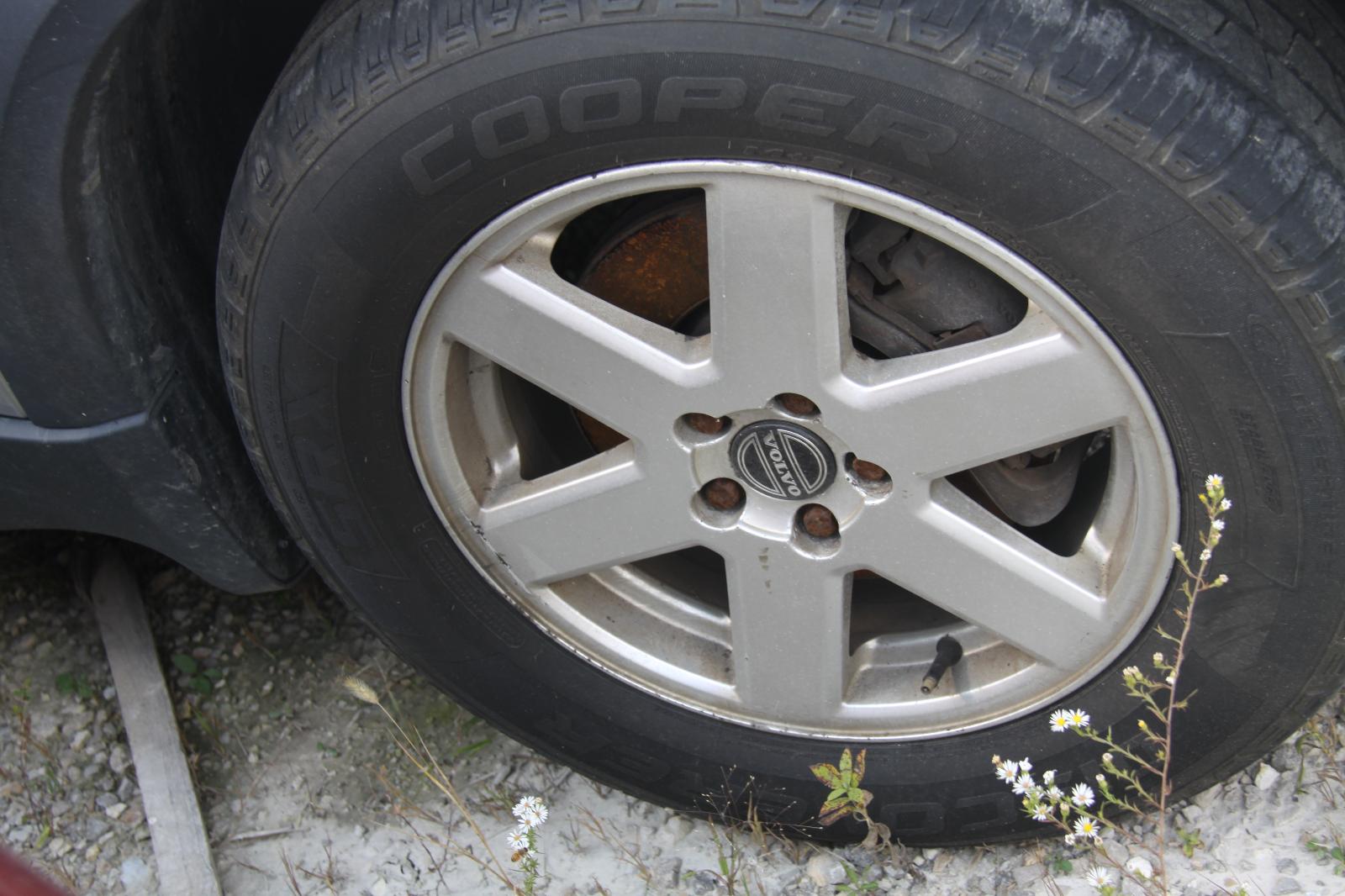b/e/a/a/c/df94fad6-d1ed-4bb3-8443-c60d36f52dc2.JPG