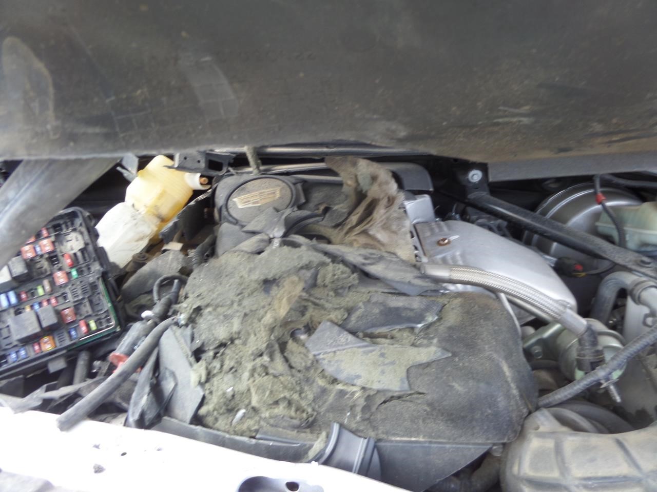 https://f005.backblazeb2.com/file/img-partshotlines-com/Inventory/EX865/Vehicle/14714_06.jpg