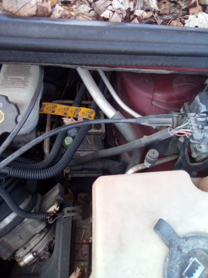 https://f005.backblazeb2.com/file/img-partshotlines-com/Inventory/MA472/Vehicle/26952_06.jpg