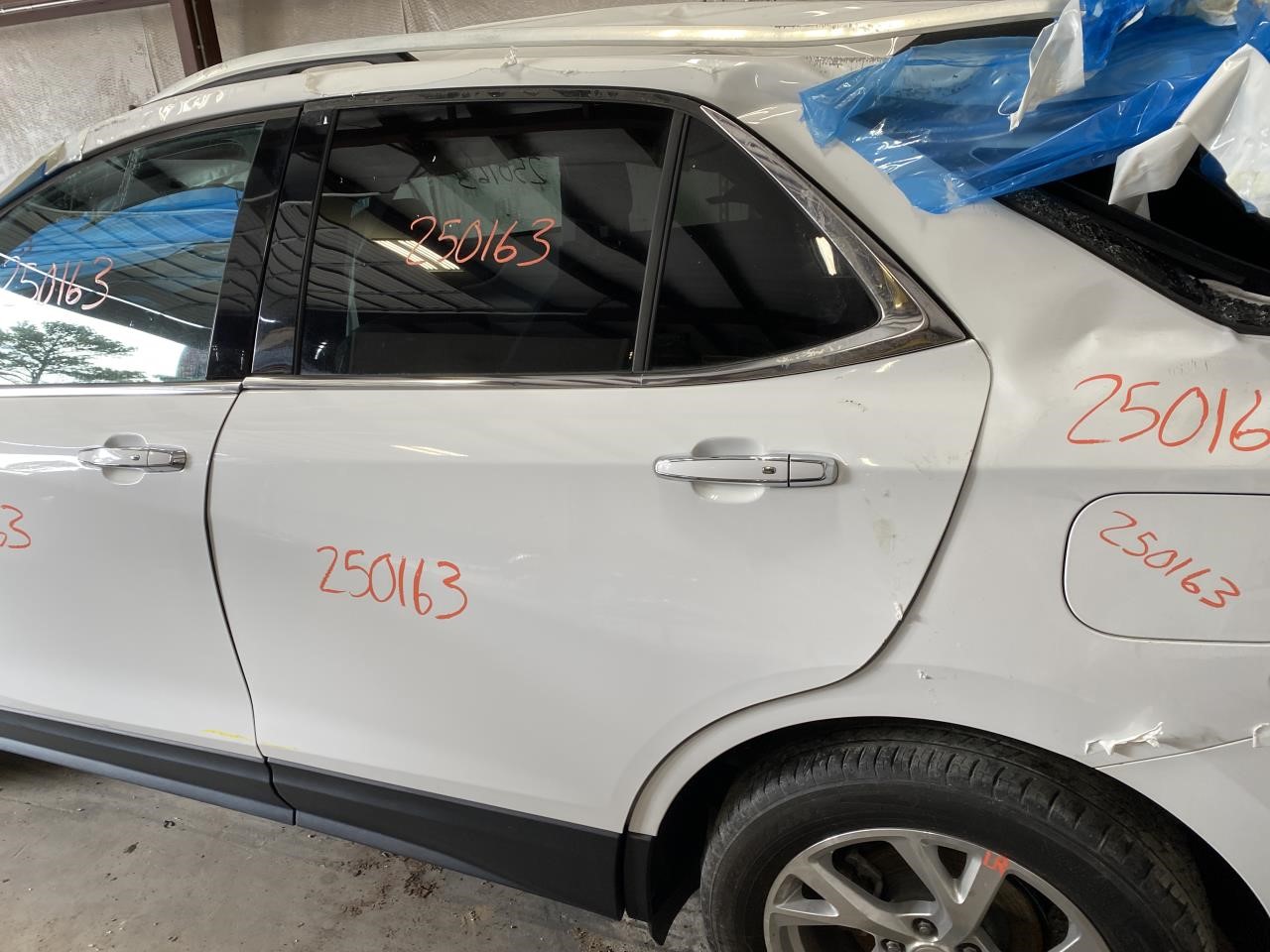 Vehicle/116230_11.jpg