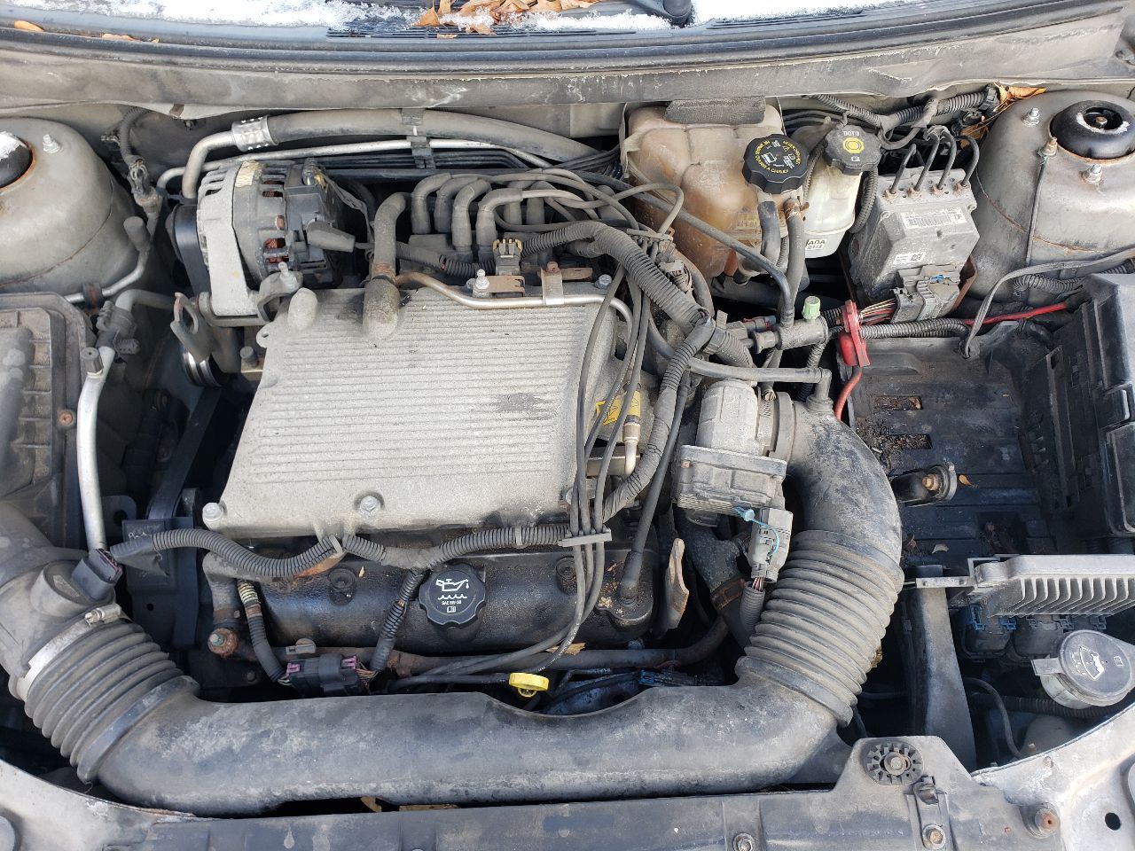 https://f005.backblazeb2.com/file/img-partshotlines-com/Inventory/MA726/Vehicle/39516_10.jpg
