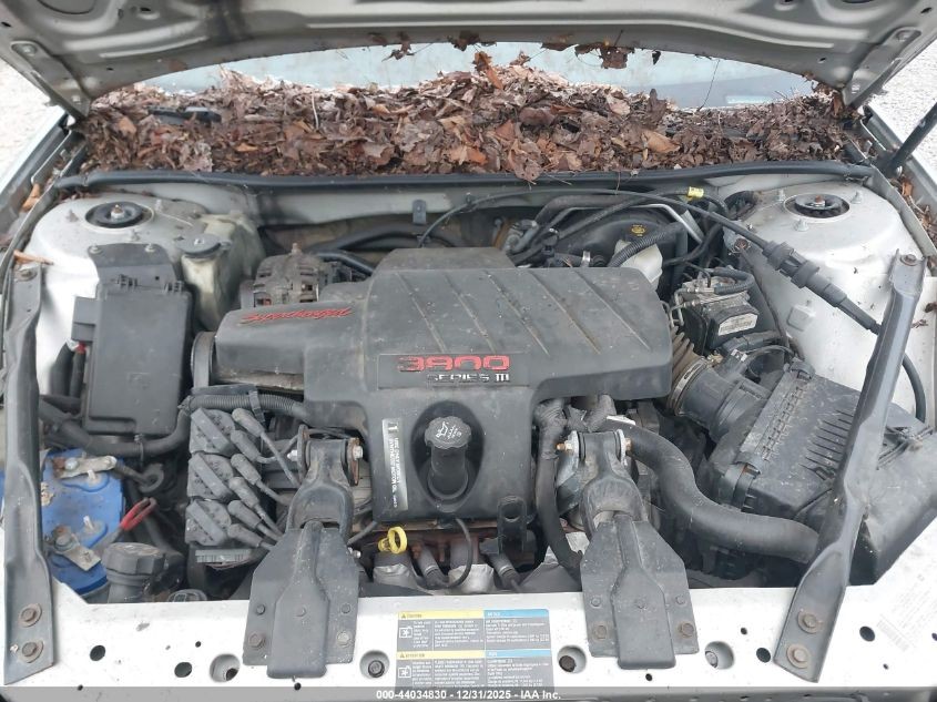 https://f005.backblazeb2.com/file/img-partshotlines-com/Inventory/MS187/Vehicle/8909_06.jpg