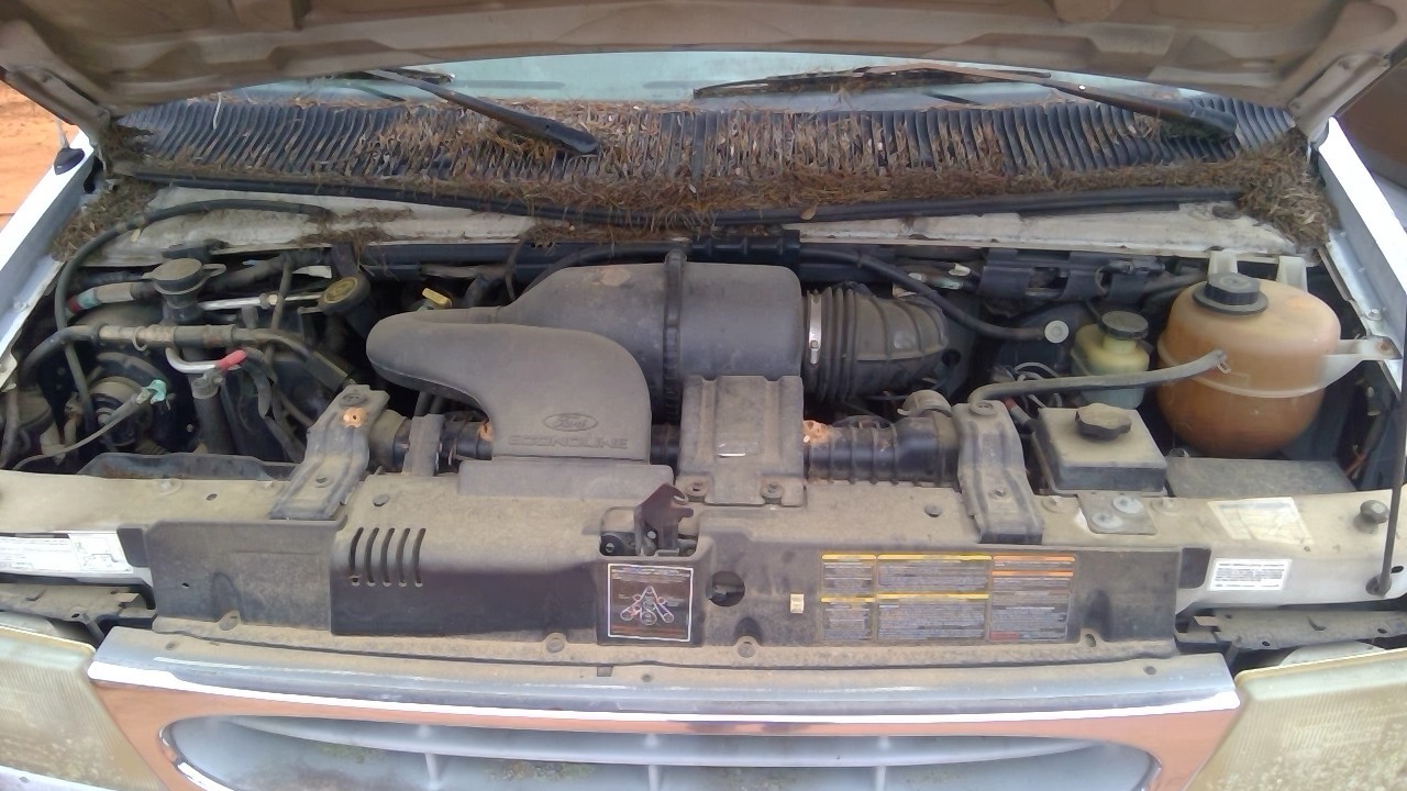 https://f005.backblazeb2.com/file/img-partshotlines-com/Inventory/MS293/Vehicle/15525_07.jpg