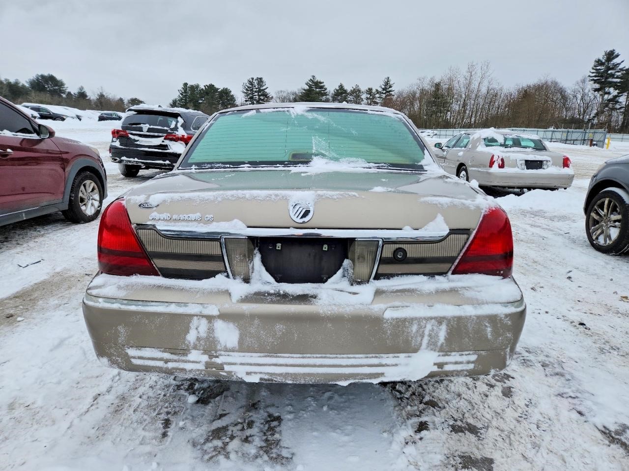 https://f005.backblazeb2.com/file/img-partshotlines-com/Inventory/NE41/Vehicle/121296_06.jpg