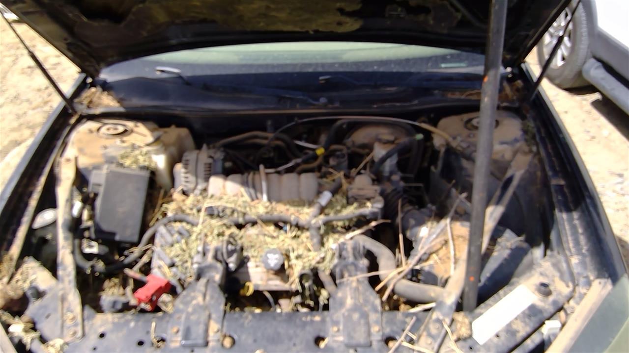 https://f005.backblazeb2.com/file/img-partshotlines-com/Inventory/SW52/Vehicle/19358_05.jpg