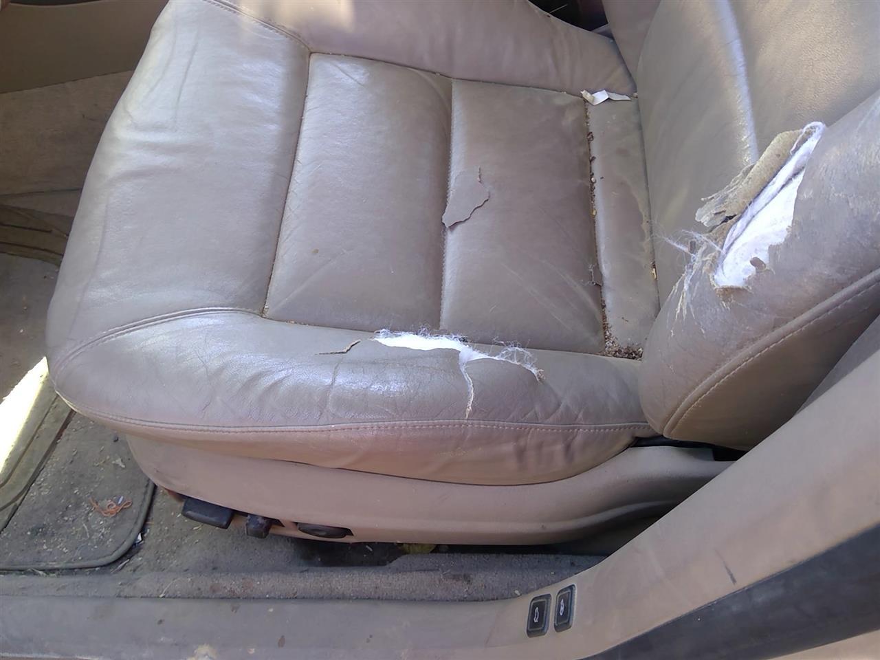 https://f005.backblazeb2.com/file/img-partshotlines-com/Inventory/SW52/Vehicle/20954_03.jpg