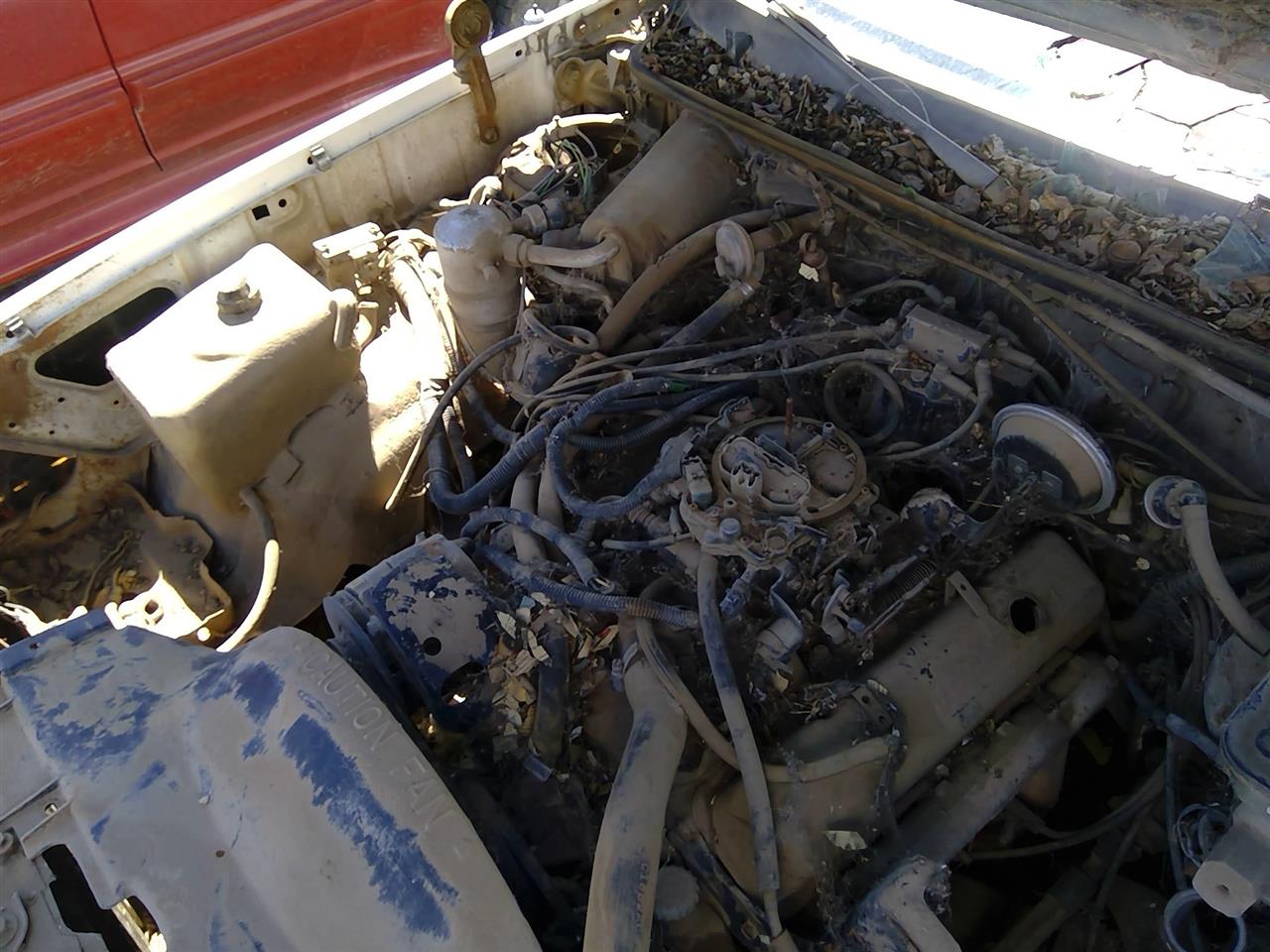 https://f005.backblazeb2.com/file/img-partshotlines-com/Inventory/SW52/Vehicle/21309_06.jpg