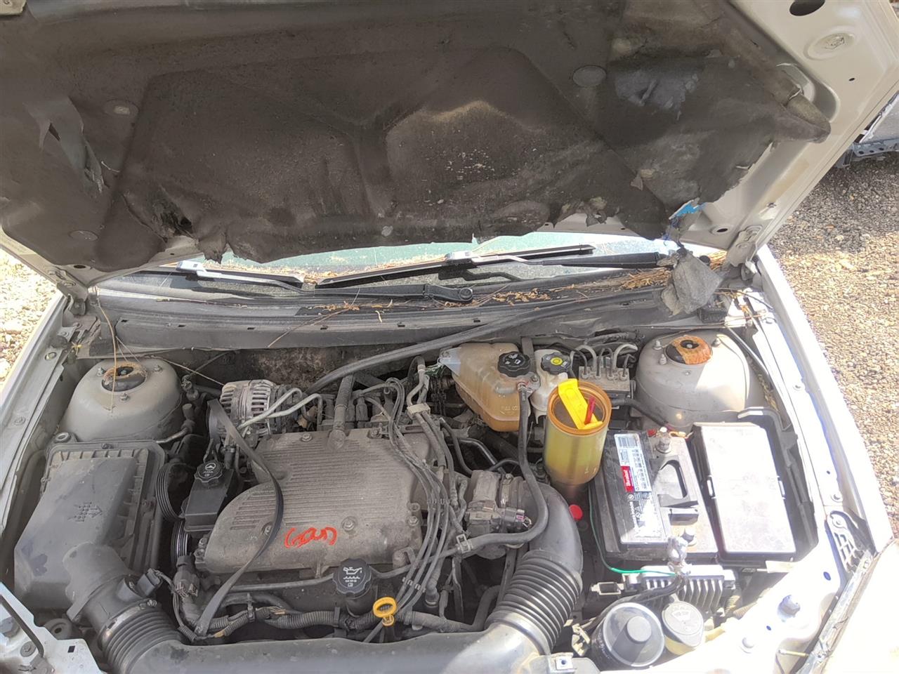 https://f005.backblazeb2.com/file/img-partshotlines-com/Inventory/SW52/Vehicle/21414_05.jpg