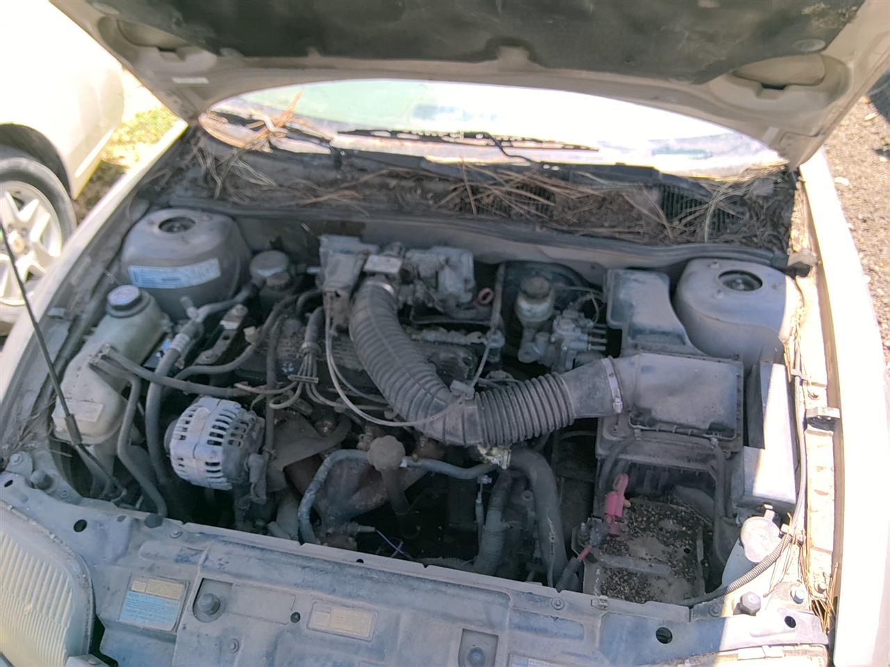 https://f005.backblazeb2.com/file/img-partshotlines-com/Inventory/SW52/Vehicle/21437_04.jpg