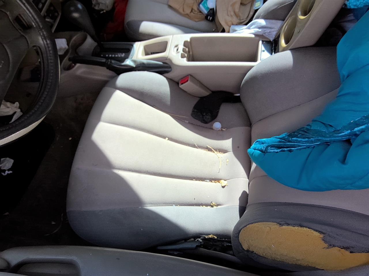 https://f005.backblazeb2.com/file/img-partshotlines-com/Inventory/SW52/Vehicle/21911_03.jpg