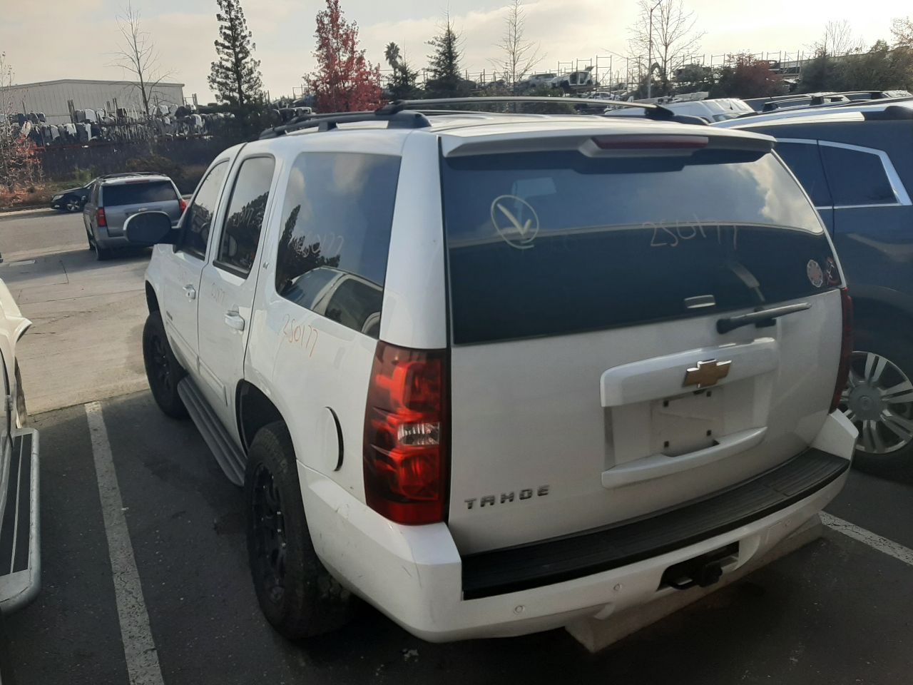 Vehicle/1491_05.jpg
