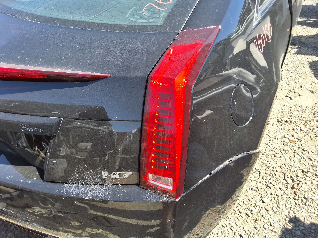 Vehicle/1701_11.jpg